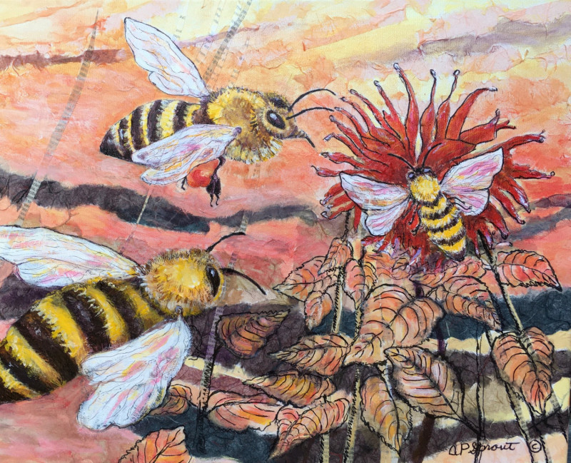 Aurelle Purdy Sprout