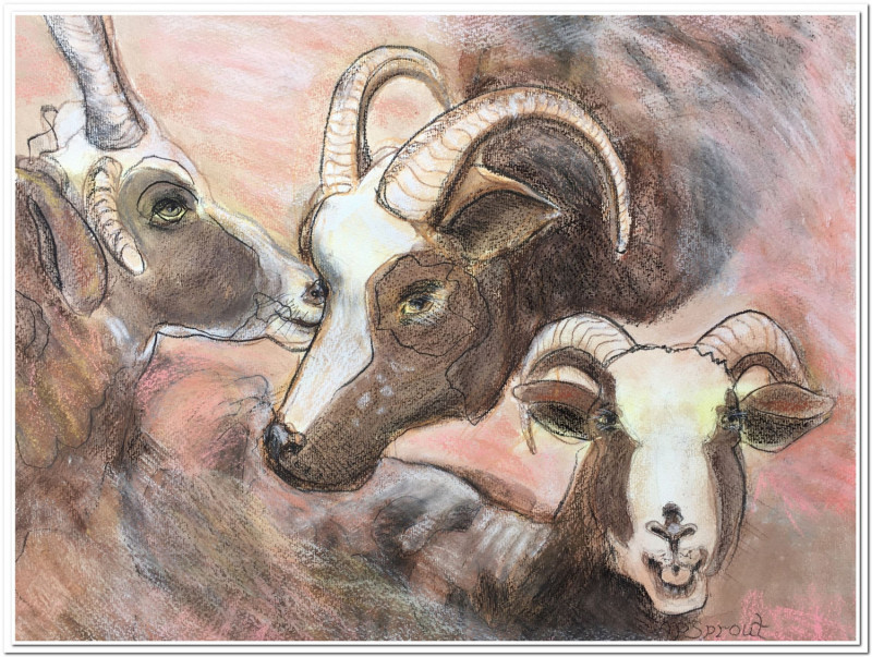 Aurelle Purdy Sprout