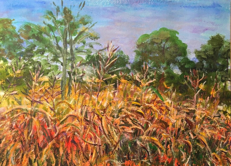 Aurelle Purdy Sprout