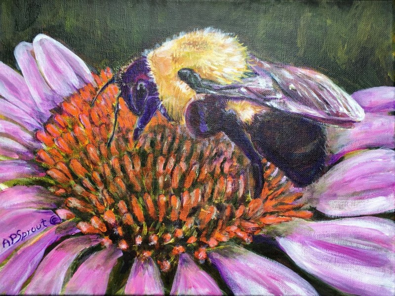 Aurelle Purdy Sprout