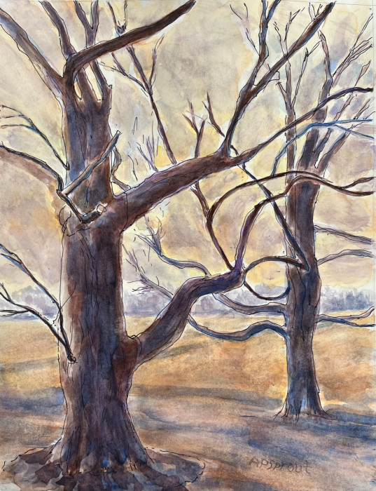 Aurelle Purdy Sprout