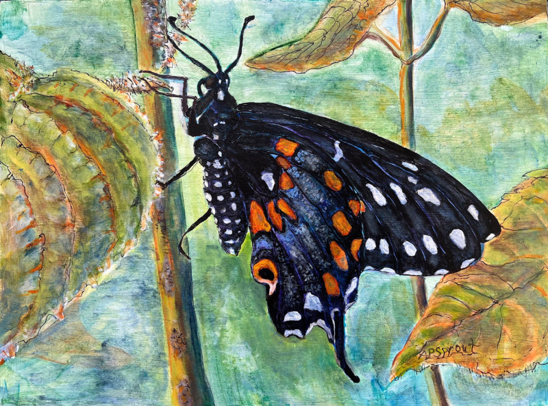 Aurelle Purdy Sprout