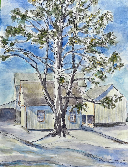 Aurelle Purdy Sprout