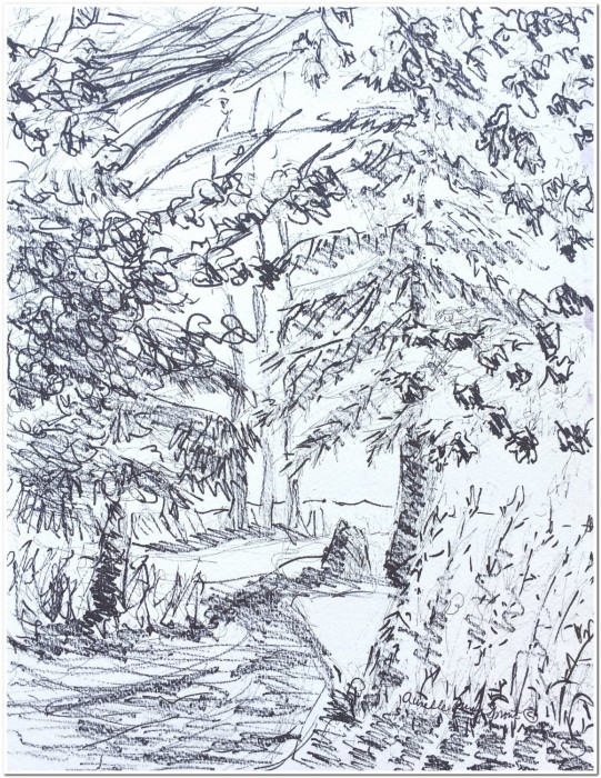 Sprout, Pathway Sketch, marker on paper