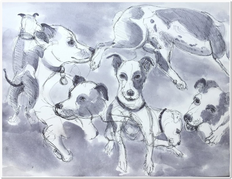 Sprout, Why We Love Them,  Mixed media: watercolor & marker