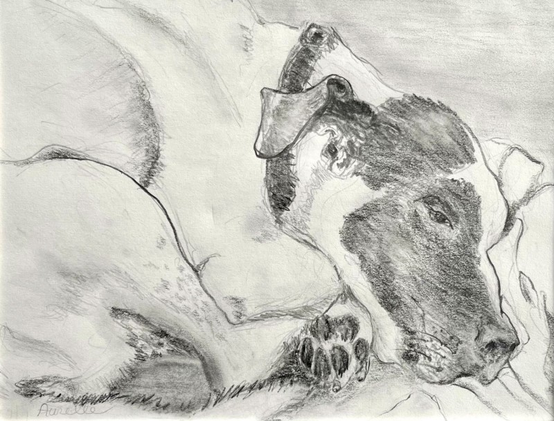 Aurelle Purdy Sprout