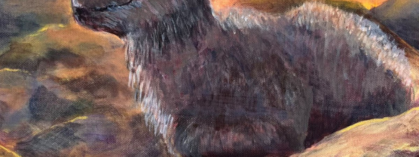 Aurelle Purdy Sprout